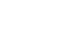 REPORT